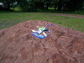 muty-z3-PICT0459.JPG
