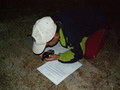 muty-z3-PICT0492.JPG
