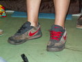 muty-z3-PICT0508.JPG
