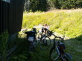 muty-z3-PICT0529.JPG
