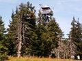 muty-z3-PICT0535.JPG
