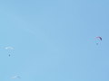 muty-z3-PICT0539.JPG
