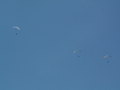 muty-z3-PICT0541.JPG

