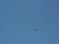 muty-z3-PICT0542.JPG
