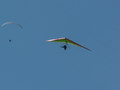muty-z3-PICT0543.JPG
