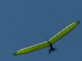 muty-z3-PICT0545.JPG
