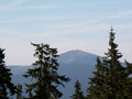 muty-z3-PICT0560.JPG
