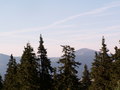 muty-z3-PICT0562.JPG
