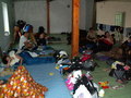 muty-z3-PICT0563.JPG
