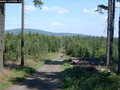 pavel-zacler-034.jpg
