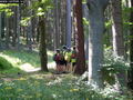 pavel-zacler-059.jpg
