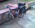 muty-htc-200803071636_240.jpg