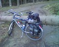 muty-htc-200803071723_245.jpg