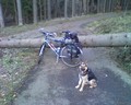 muty-htc-200803071723_246.jpg