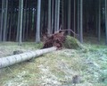muty-htc-200803071724_247.jpg