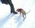 muty-htc-200803081139_258.jpg