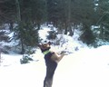 muty-htc-200803081139_259.jpg