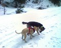 muty-htc-200803081139_260.jpg