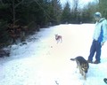 muty-htc-200803081141_264.jpg