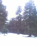 muty-htc-200803081408_266.jpg