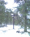 muty-htc-200803081408_269.jpg