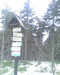 muty-htc-200803081411_270.jpg