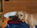 muty-z3-pict2885.jpg