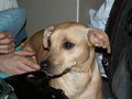 muty-z3-pict2886.jpg