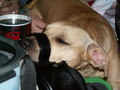 muty-z3-pict2887.jpg