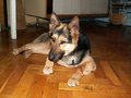 muty-z3-pict2891.jpg
