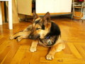 muty-z3-pict2892.jpg
