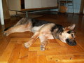 muty-z3-pict2894.jpg