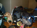 muty-z3-pict2898.jpg