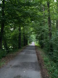 muty-pict4222.jpg
