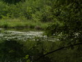 muty-pict4242.jpg
