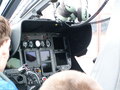 muty-pict4264.jpg
