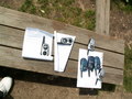 muty-pict4445.jpg
