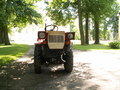 muty-pict4471.jpg
