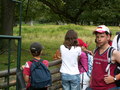 muty-pict4485.jpg
