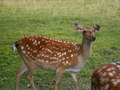 muty-pict4491.jpg
