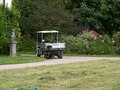 muty-pict4497.jpg
