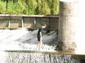muty-pict4530.jpg
