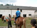 muty-pict4566.jpg
