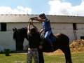 muty-pict4699.jpg
