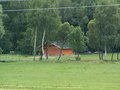 muty-pict4728.jpg
