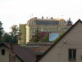 muty-pict4743.jpg
