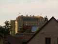 muty-pict4744.jpg
