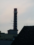 muty-pict4747.jpg
