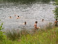 muty-pict4845.jpg
