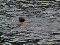muty-pict4864.jpg
